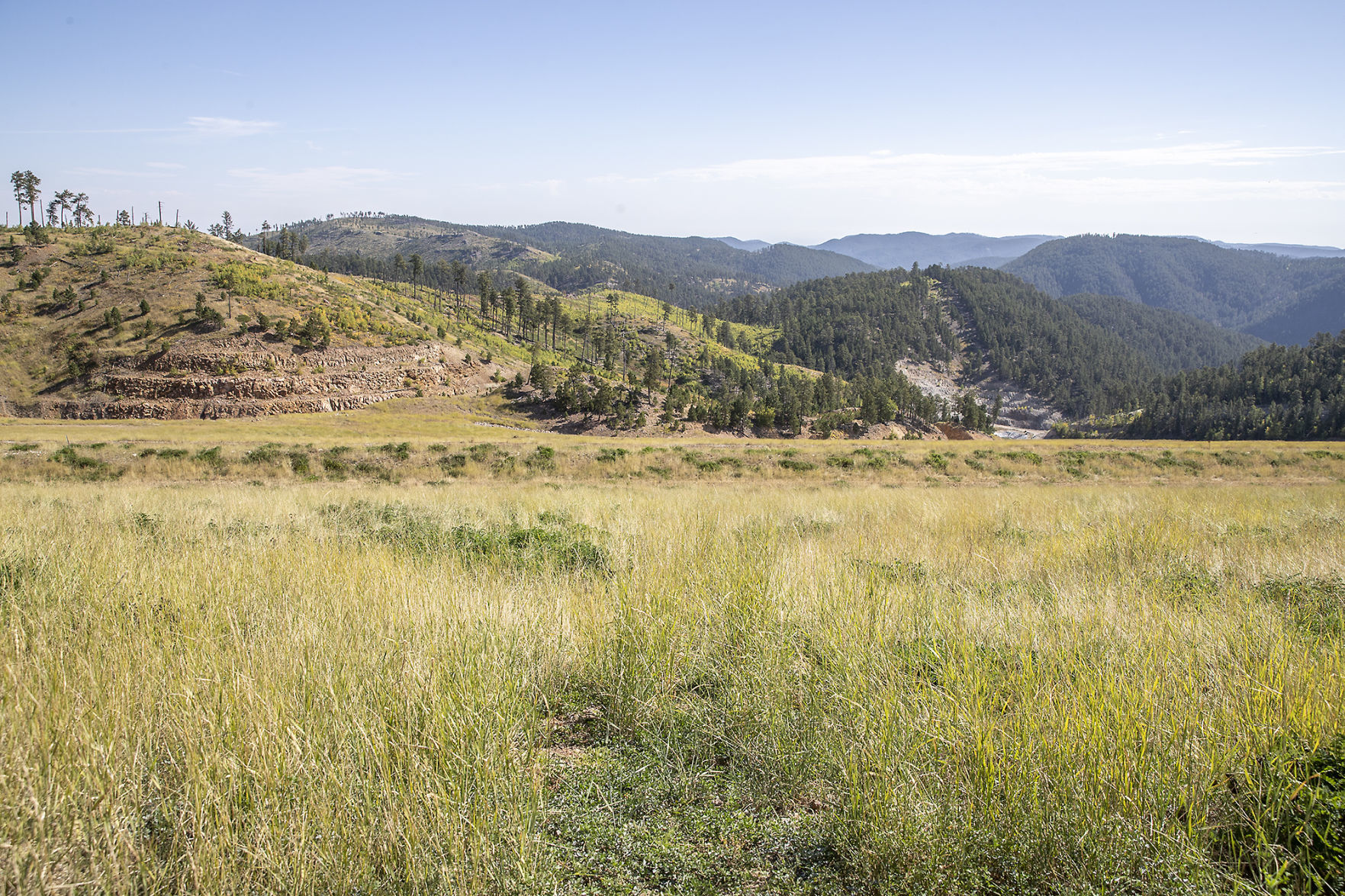 Gilt Edge Mine